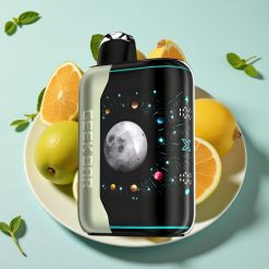 GEEK BAR Platinum Edition 25000 puf Miami Mynte Dual Mesh Coil 20mL